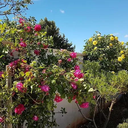 Entspannungsoase - Insel Krk Villa