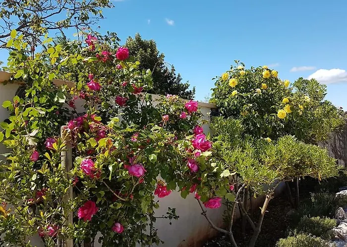 Entspannungsoase - Insel Krk Vila