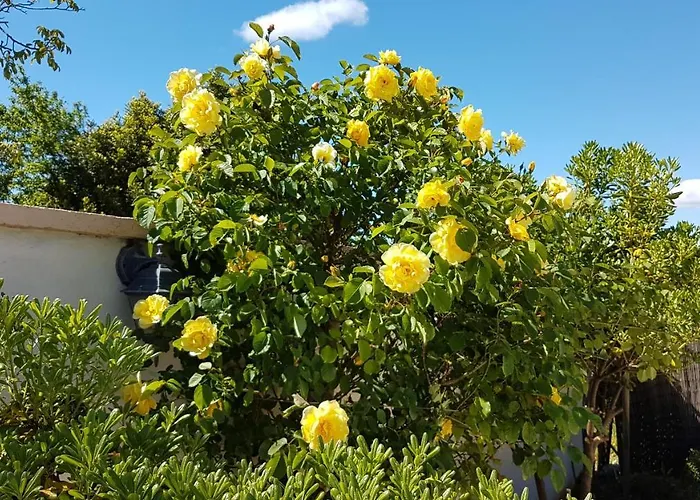 Entspannungsoase - Insel Krk Vila Rasopasno